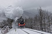 MIGLIOR TRENO TRATTA CEVA-ORMEA - SAMBUCO MASSIMO